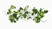 Brokkoli mit Wassersplash