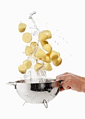Peeled potatoes being washed in a sieve