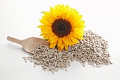 Sunflower seeds, wooden scoop and sunflower
