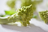 Romanesco broccoli (close-up)