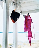 Swimming trunks and bikini on washing line