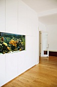 Built-in aquarium