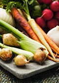 An arrangement of vegetables (onions, fennel, carrots and radishes)