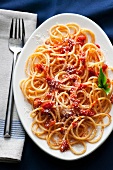 Plate of Spaghetti with Tomato Sauce