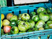 Green tomatoes in a crate