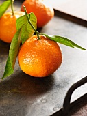 Mandarin oranges with leaves