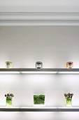 Dekoration von hübschen Lebensmittelgläsern und Blumen auf beleuchteten Glasregalen