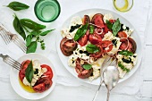 Tomaten-Mozzarella-Salat mit Basilikum