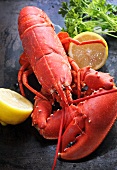 Cooked lobster with lemon