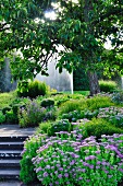 Staudenbeete und Wasserfontäne im Park (Killesbergpark, Stuttgart)