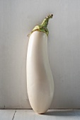 A Single White Eggplant on a White Background