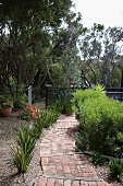 Path of terracotta tiles in Mediterranean garden