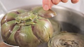 Removing cooked artichokes from water