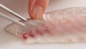 Removing bones from sea bass fillet using tweezers
