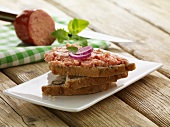 Brot mit grober Teewurst und Zwiebeln