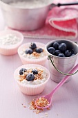 Coconut rice pudding with blueberries