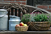 Alte Milchkannen, Obstkorb & Korb mit Blumen auf Holzbank