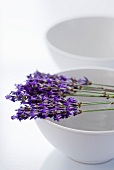 Lavender flowers laid across a white bowl