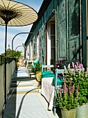 Open sun umbrella in front of a bench and plants on a balcony