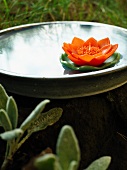 Water lily-shaped candle in a metal bowl