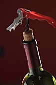 Bottle of red wine with corkscrew