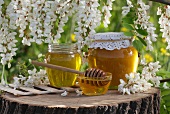 Acacia honey in pots beneath a flowering acacia tree