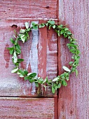 Door wreath in winter