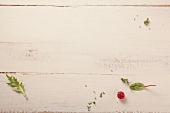 Herb leaves and a raspberry on a wooden background