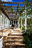 Pergola with climbers above sunny terrace with small dog on steps