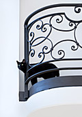 Black cat poking head through French iron balustrade