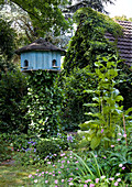Vogelhaus im wilden Garten vor efeubewachsenem Haus