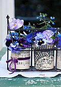 Violas in tin cans covered in decorative paper in antique bottle carrier
