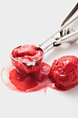 Ice cream scoop with raspberry sorbet