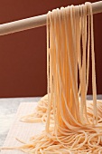 Home-made spaghetti hung up to dry