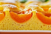 An apricot tray bake cake