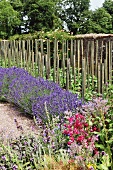 Blühende Lavendelbüsche und Holzrankstützen in mediterranem Garten