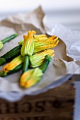 Zucchini blossoms on paper