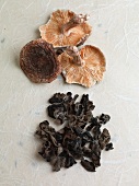 Japanese mushrooms (shiitake, kikurage)