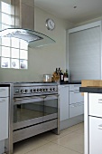 Designer kitchen with stainless steel cooker and extractor hood