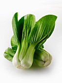 Two heads of pak choi