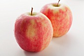 Two apples (variety: Pink Lady)