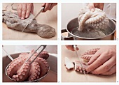Cooking octopus