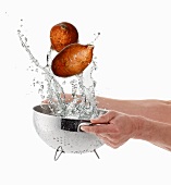 Sweet potatoes being washed