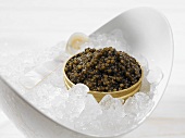 Beluga caviar on ice