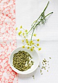 Fennel seeds in a small pedestal dish