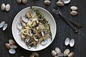 Pasta with clams and thyme