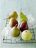A variety of pears on a cooling rack