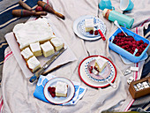 Picknick mit Buttermilch-Vanille-Kuchen und Himbeeren