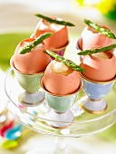 Boiled eggs with asparagus spears