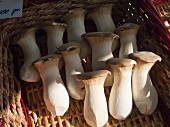 Basket of King Oyster Mushrooms at The Carouge Market is in Geneva Switzerland